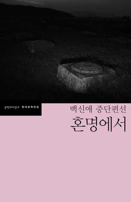 혼명에서(한국문학전집 46)
