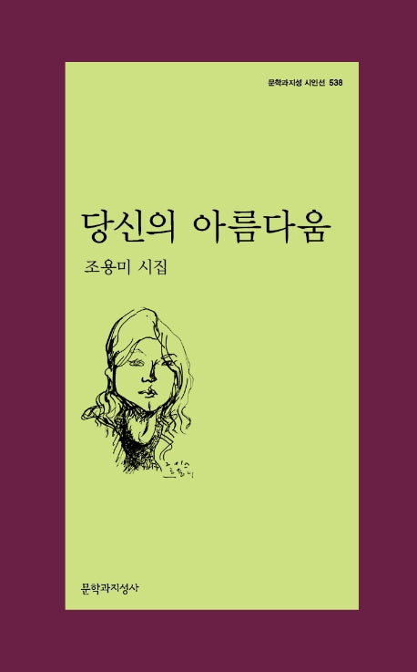 당신의 아름다움(문학과지성 시인선 538)