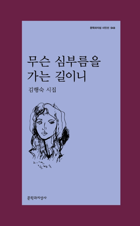 무슨 심부름을 가는 길이니(문학과지성 시인선 543)