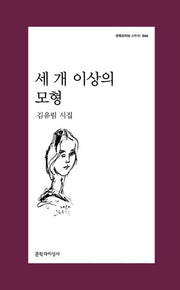 세 개 이상의 모형(문학과지성 시인선 544)