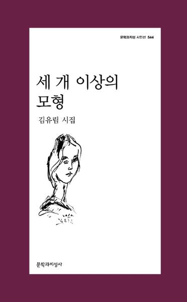 세 개 이상의 모형(문학과지성 시인선 544)
