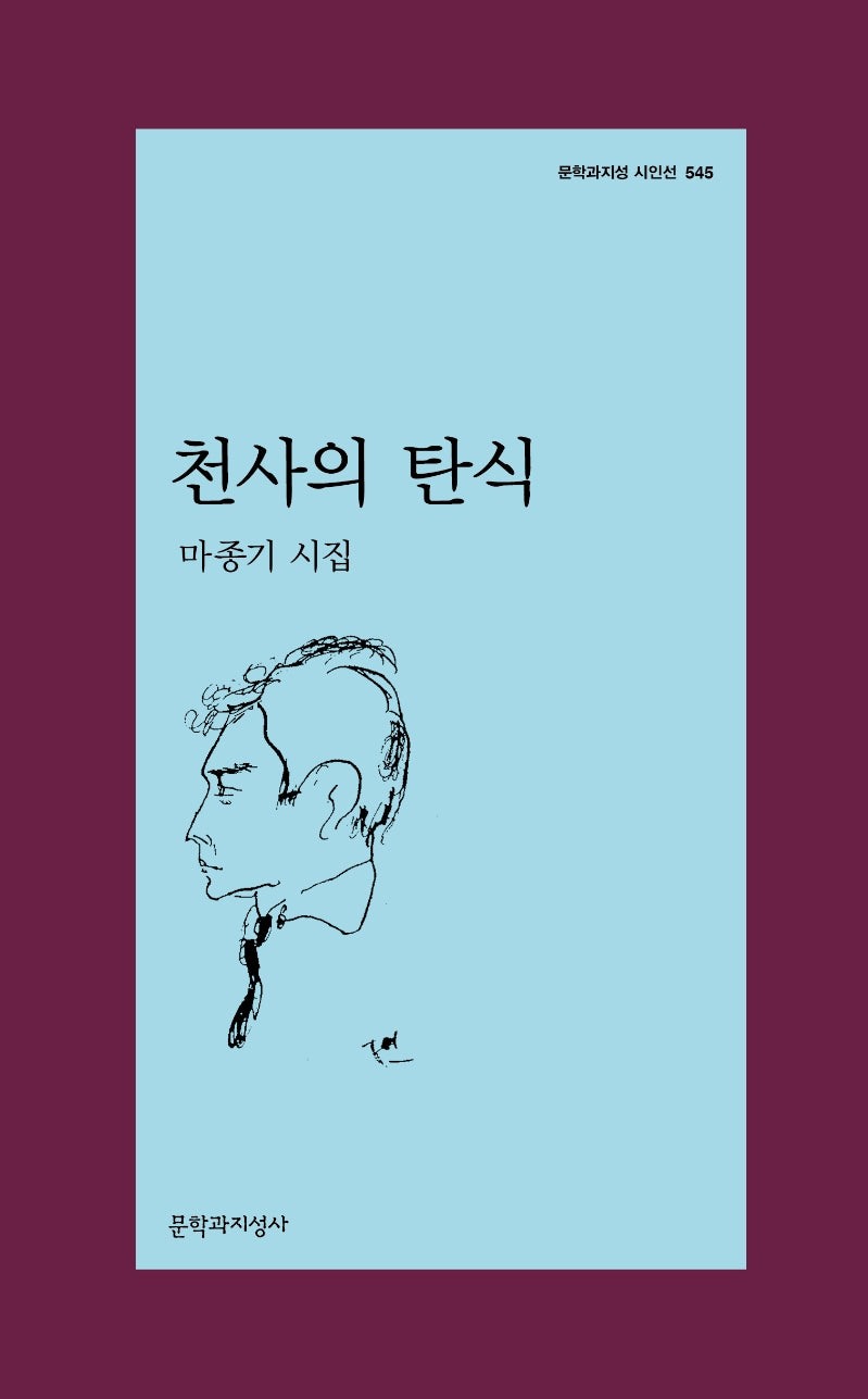 천사의 탄식(문학과지성 시인선 545)