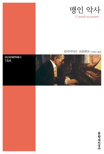 맹인 악사(대산세계문학총서 164)