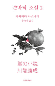 손바닥 소설 2(개정증보판)(문지 스펙트럼)