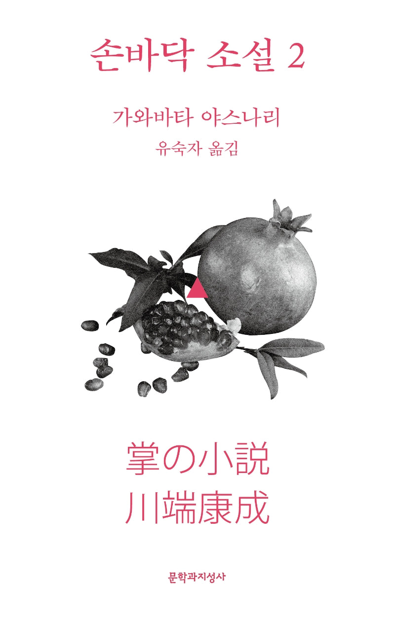 손바닥 소설 2(개정증보판)(문지 스펙트럼)