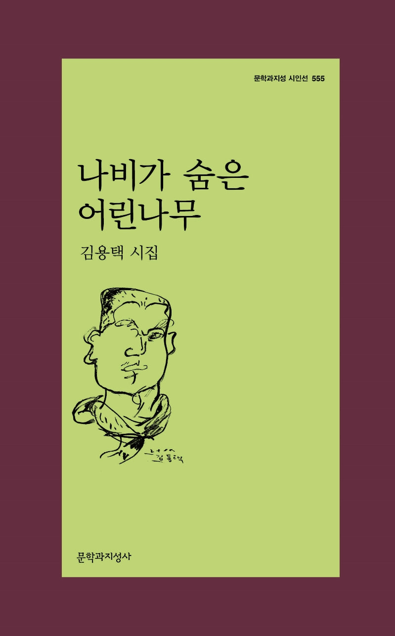 나비가 숨은 어린나무(문학과지성 시인선 555)