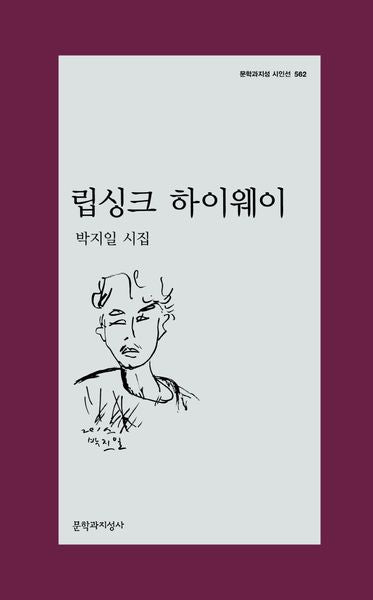 립싱크 하이웨이(문학과지성 시인선 562)