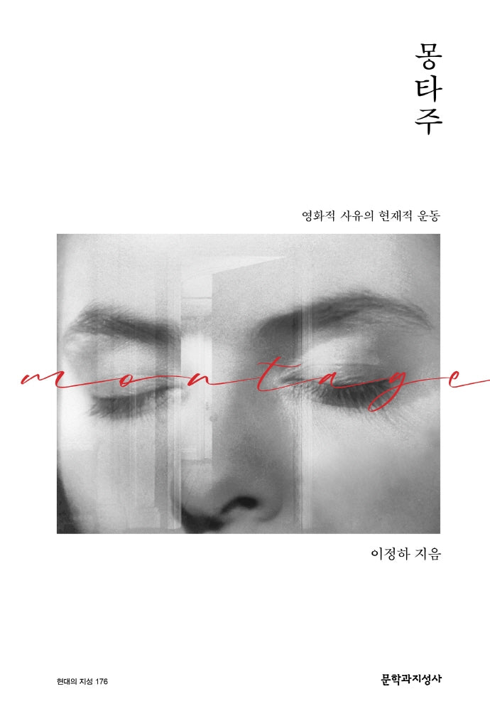 몽타주(현대의지성 176)