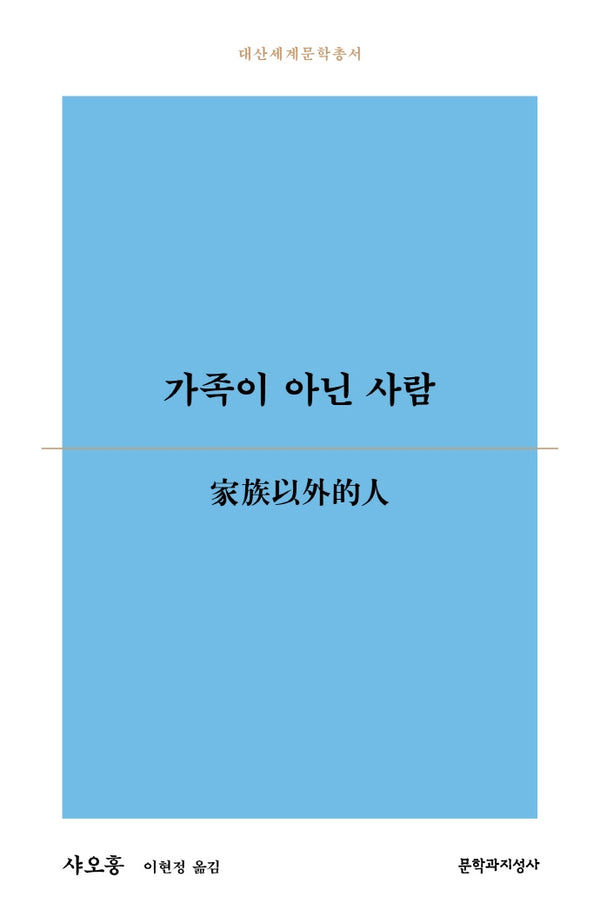 가족이 아닌 사람(대산세계문학총서 172)