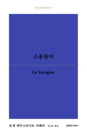소용돌이(대산세계문학총서 175)