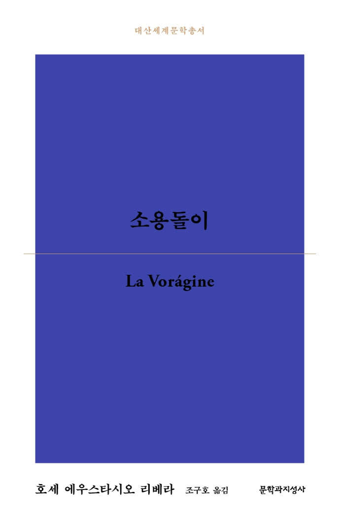 소용돌이(대산세계문학총서 175)