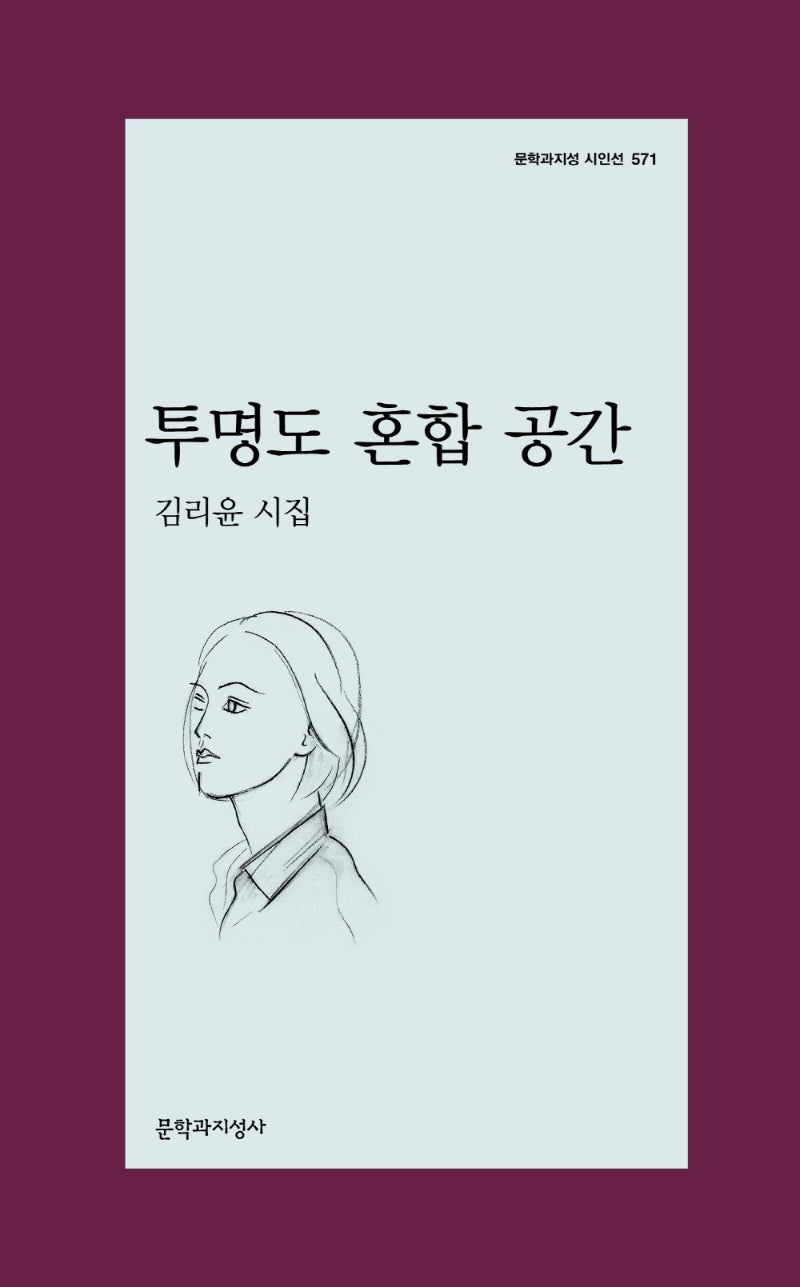 투명도 혼합 공간(문학과지성 시인선 571)