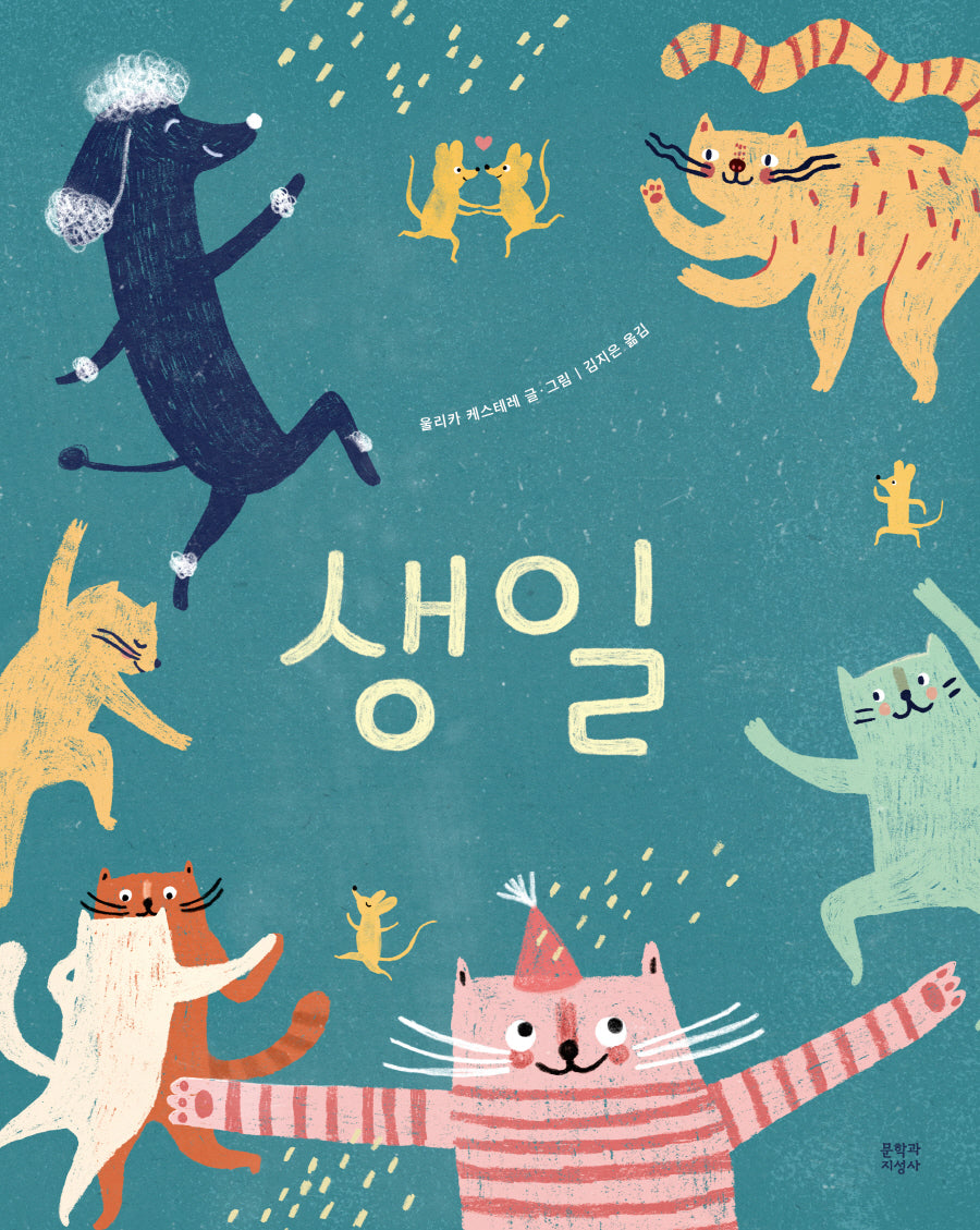 생일(양장본 Hardcover)