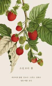 소설 보다: 봄 2025