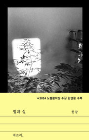빛과 실(문지 에크리)(반양장)