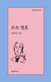 보조 영혼(문학과지성 시인선 616)