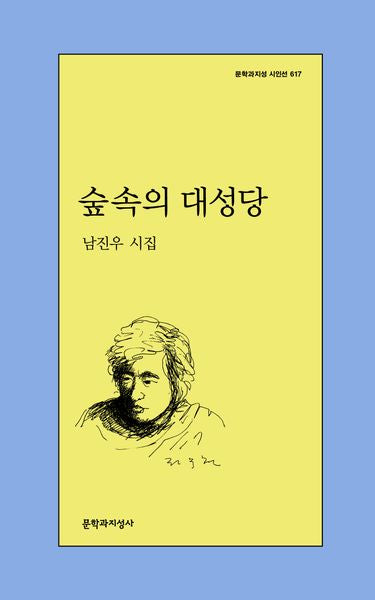 숲속의 대성당(문학과지성 시인선 617)