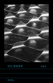 다시, 뒷면에게