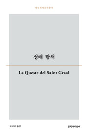 성배 탐색(대산세계문학총서 196)