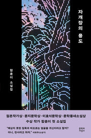 자개장의 용도