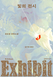 빛의 전시