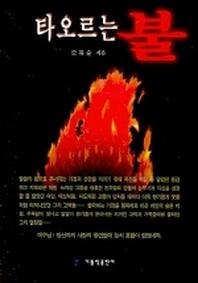 타오르는 불