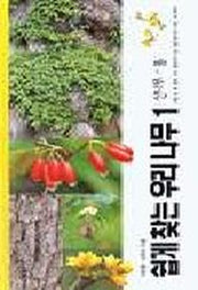 우리나무 1(산나무-봄)(쉽게 찾는)