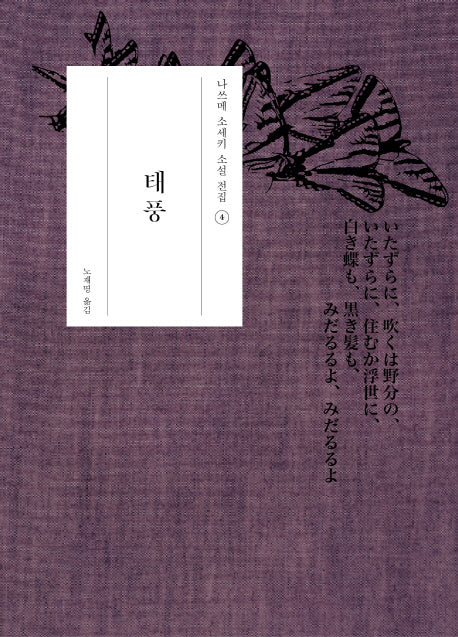 태풍(나쓰메 소세키 소설 전집 4)(양장본 HardCover)