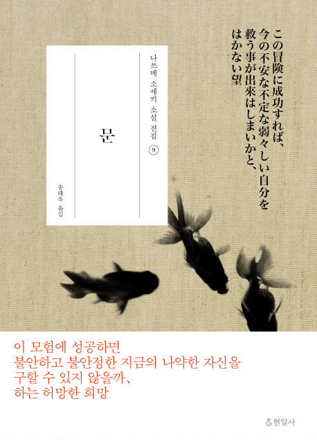 문(나쓰메 소세키 소설 전집 9)(양장본 Hardcover)