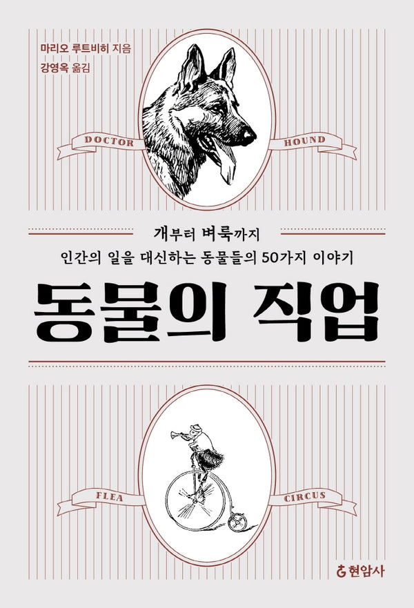 동물의 직업