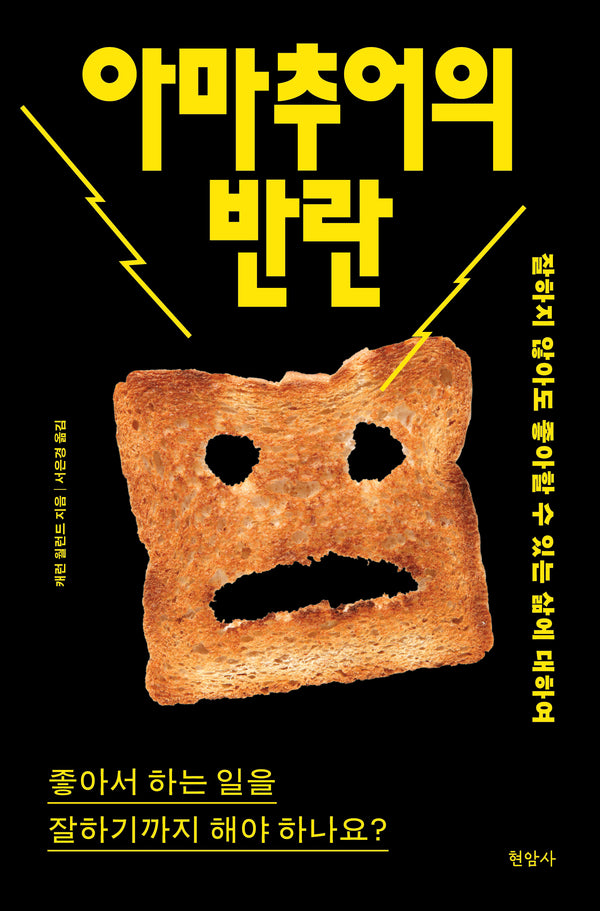 아마추어의 반란