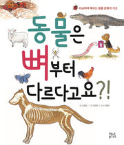 동물은 뼈부터 다르다고요?!(양장본 HardCover)