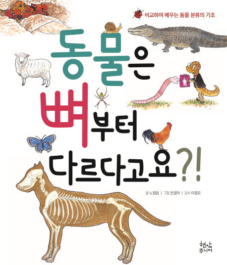 동물은 뼈부터 다르다고요?!(양장본 HardCover)