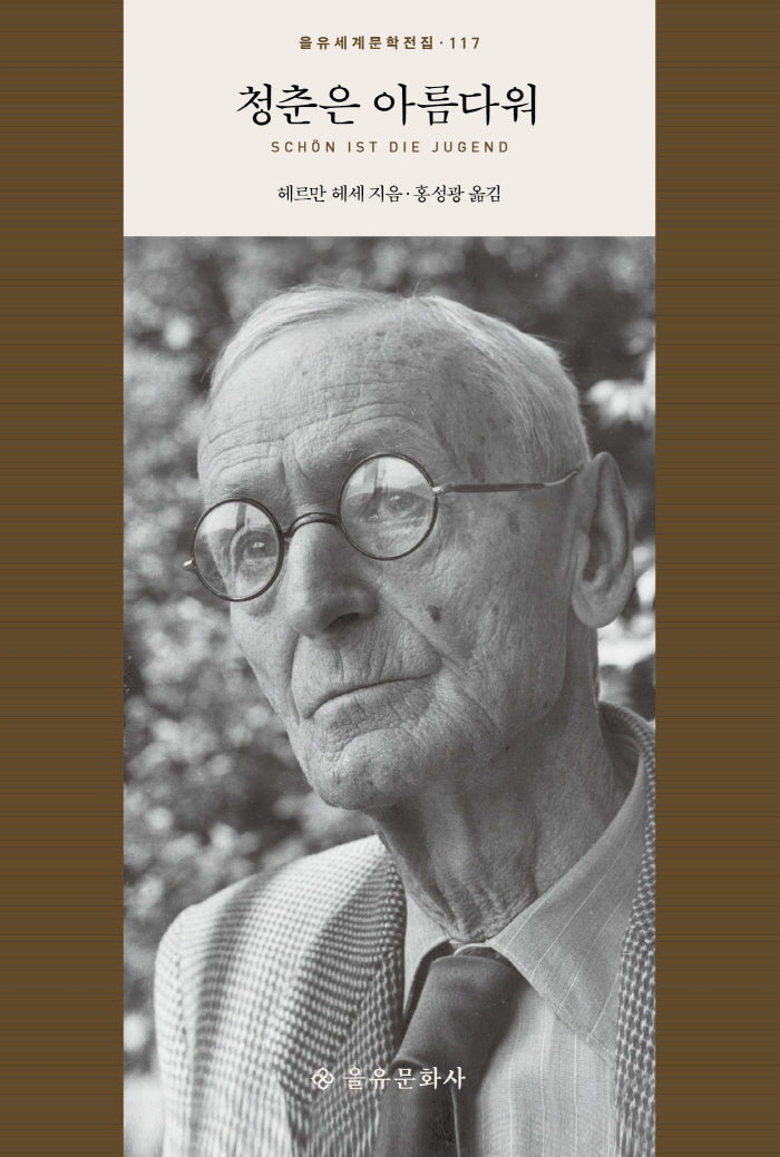 청춘은 아름다워(을유세계문학전집 117)(양장본 HardCover)