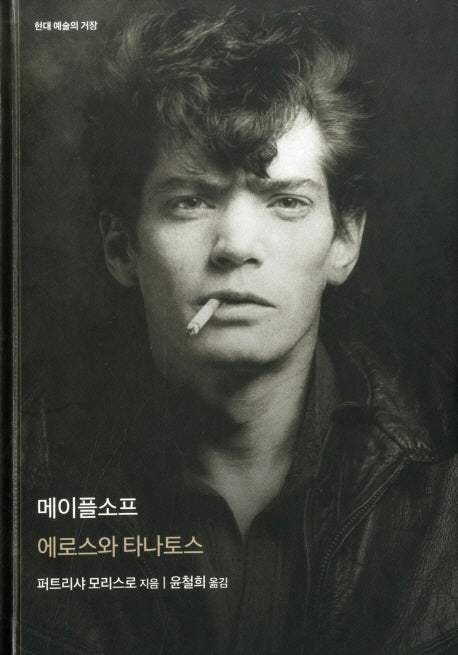 메이플소프(현대 예술의 거장)(양장본 HardCover)