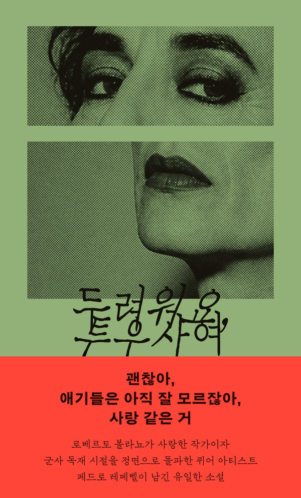 두려워요, 투우사여(암실문고)