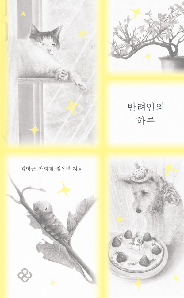반려인의 하루
