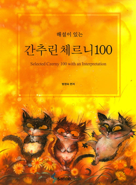 해설이 있는 간추린 체르니 100