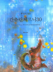 해설이 있는 간추린 체르니 30