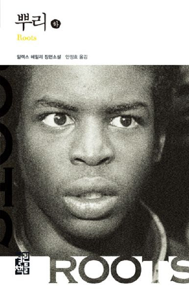뿌리(하)(열린책들 세계문학 43)(양장본 Hardcover)