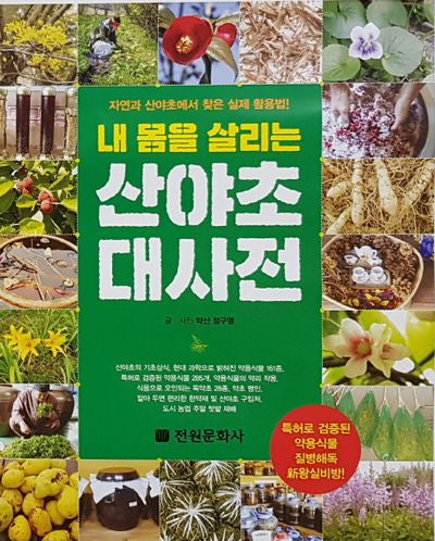 산야초 대사전(내 몸을 살리는)(양장본 Hardcover)