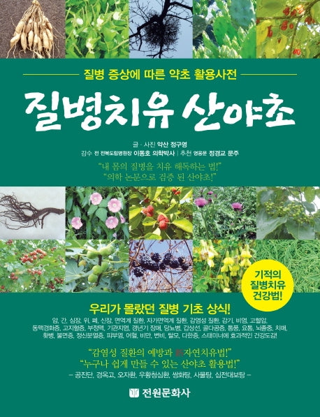 질병치유 산야초(양장본 Hardcover)
