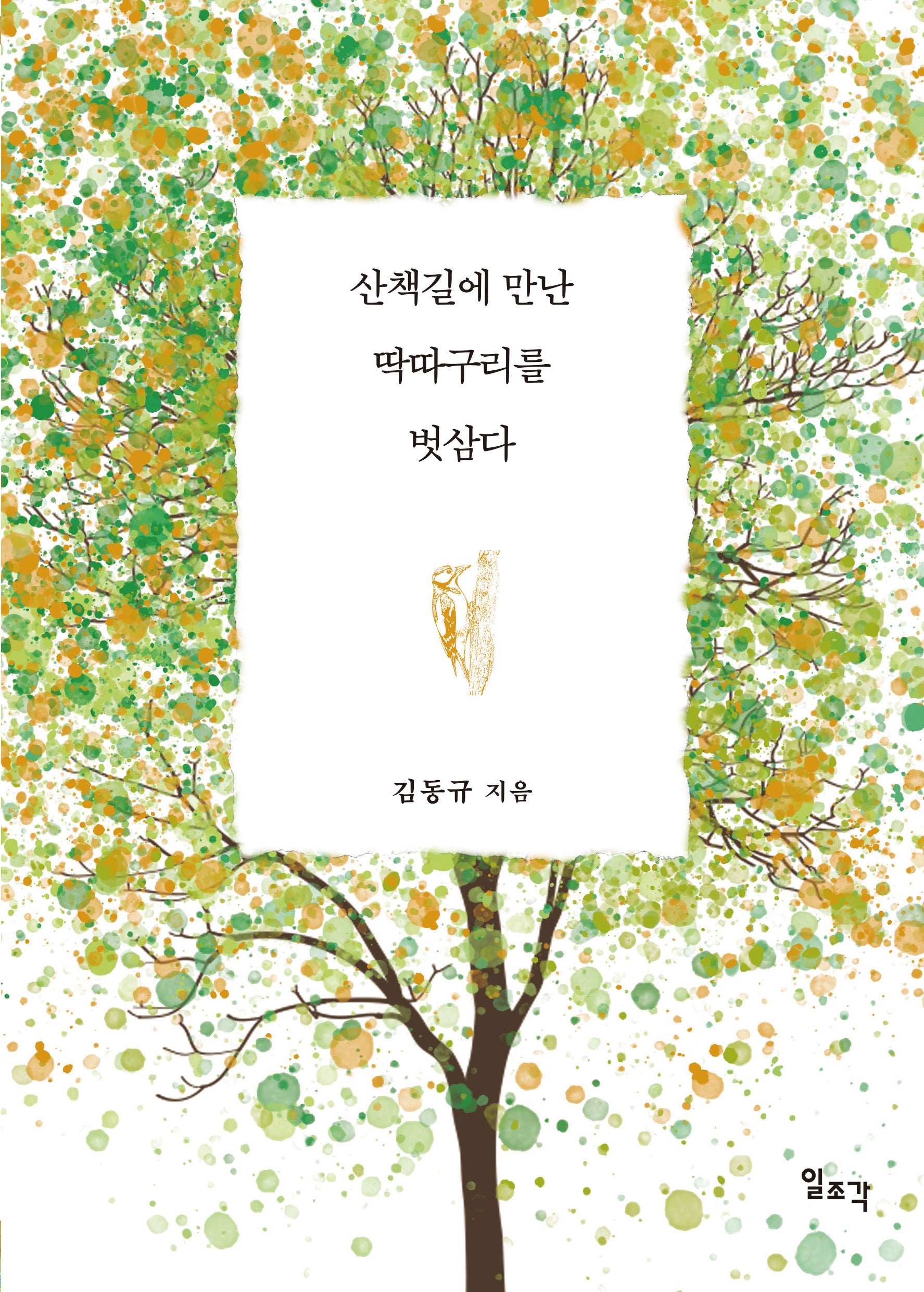 산책길에 만난 딱따구리를 벗삼다