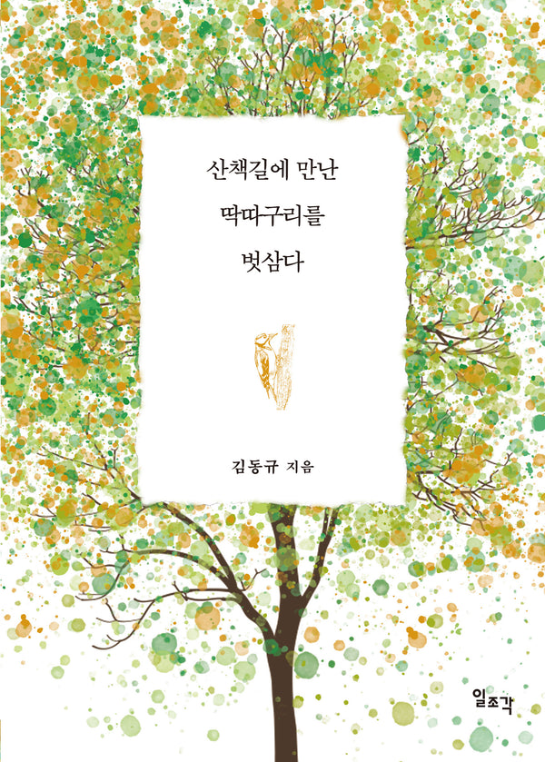 산책길에 만난 딱따구리를 벗삼다
