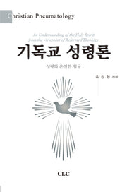 기독교 성령론(양장본 Hardcover)