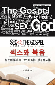 섹스와 복음(최성훈 교수 현대목회 시리즈 1)