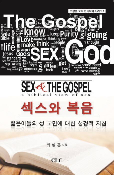섹스와 복음(최성훈 교수 현대목회 시리즈 1)