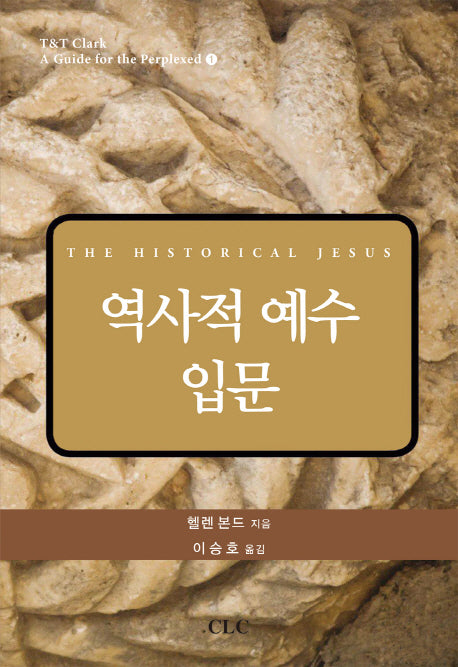 역사적 예수 입문(T&T Clark A Guide for the Perplexed 1)