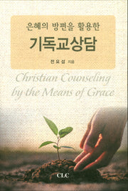 기독교 상담(은혜의 방편을 활용한)