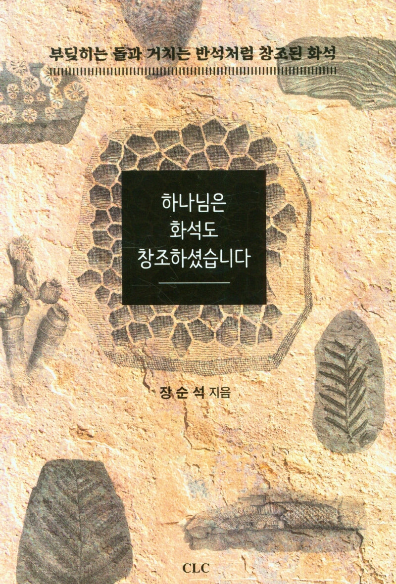 하나님은 화석도 창조하셨어요
